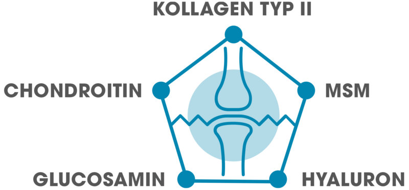 Dr. Böhm® Knorpel & Knochen intensiv - Extra stark für die Gelenke